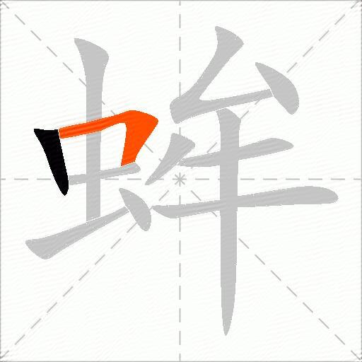 蛑
