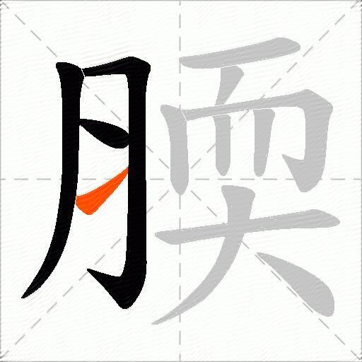 腝
