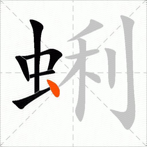 蜊
