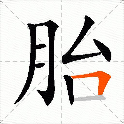 胎