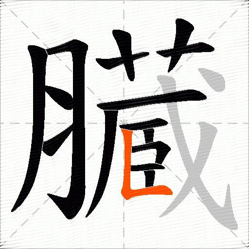 臓