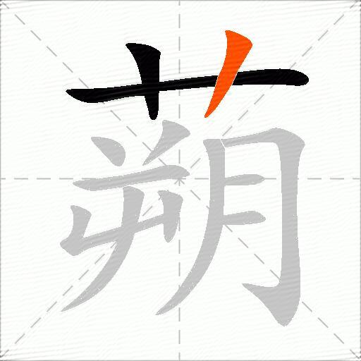 蒴