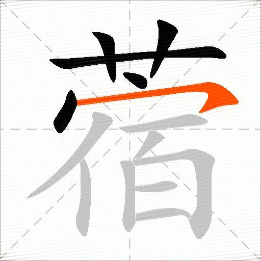 蓿