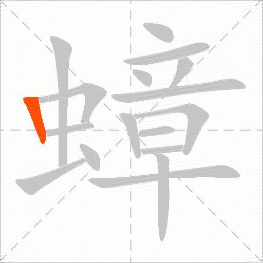 蟑