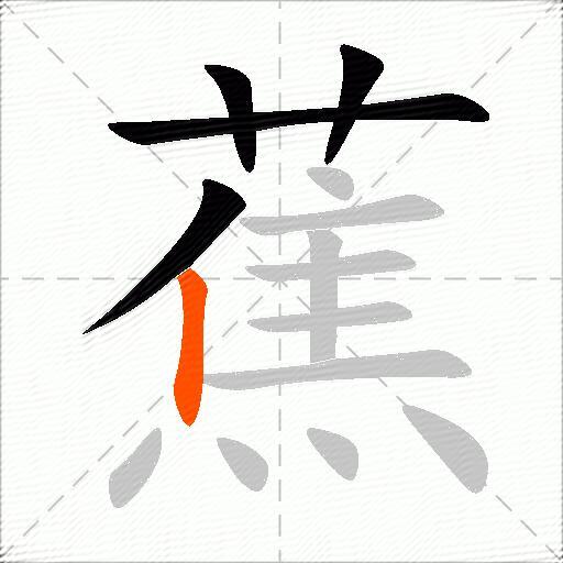 蕉