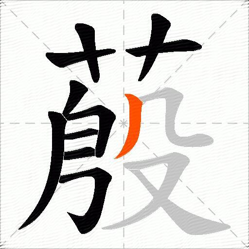 蒑