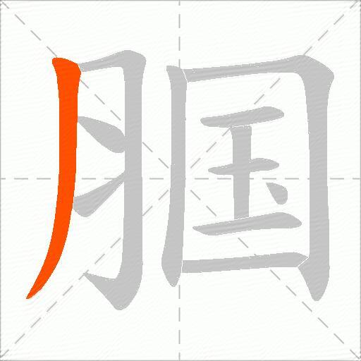 腘