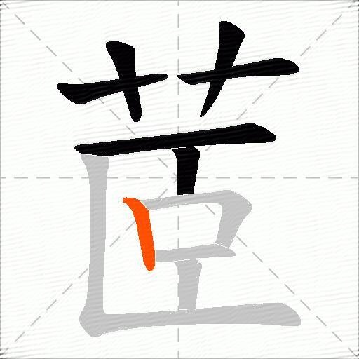 茝