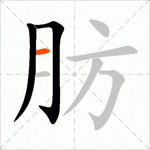 肪
