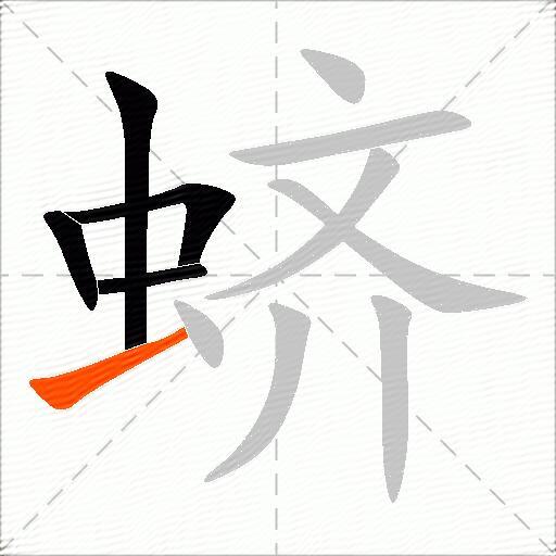 蛴