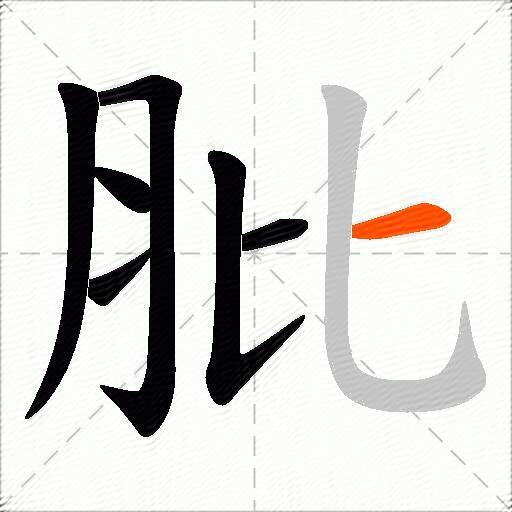 肶