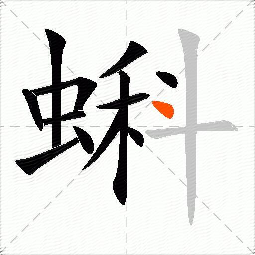 蝌