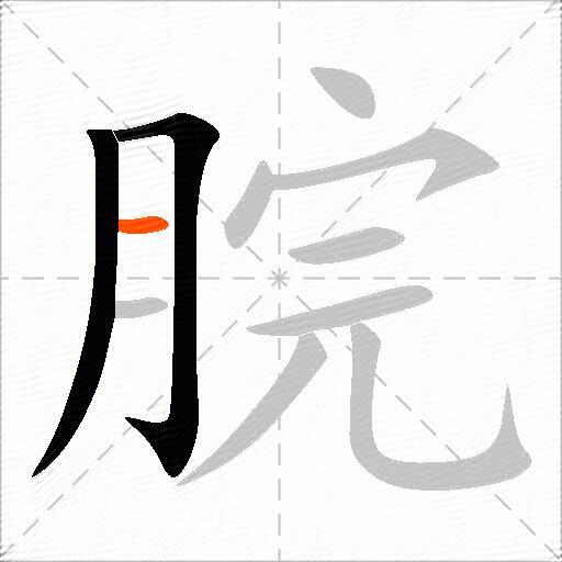 脘