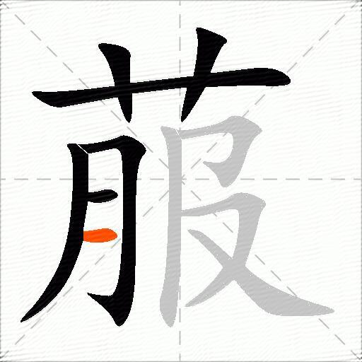 菔