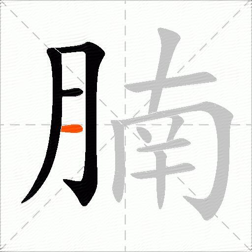 腩
