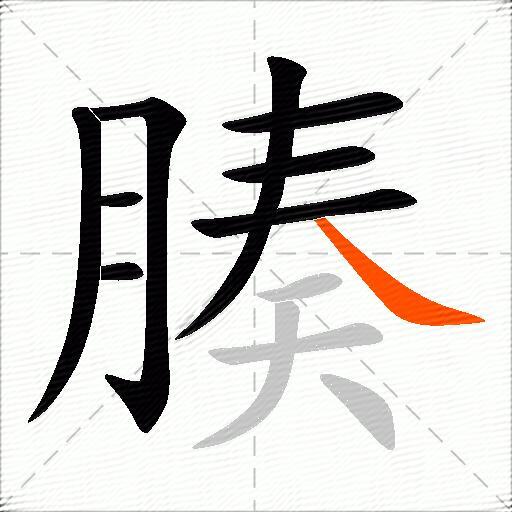 腠