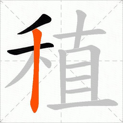 稙