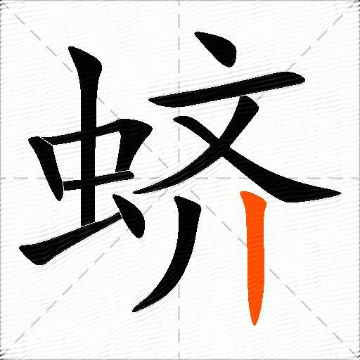蛴