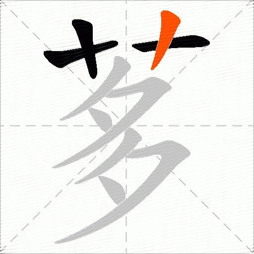茤