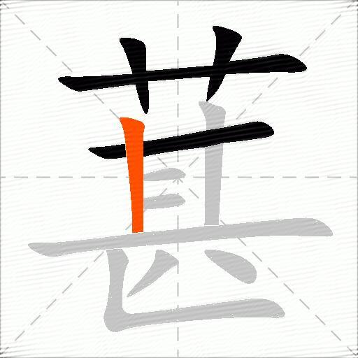 葚