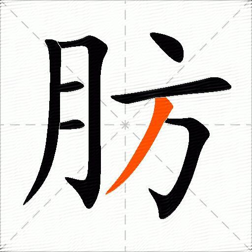 肪