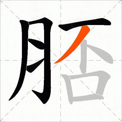 脴