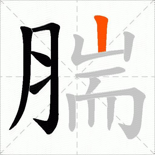 腨