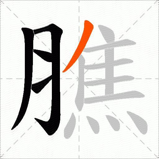 膲