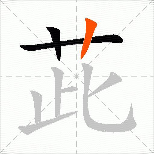 茈