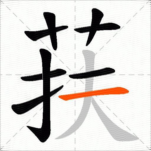 荴