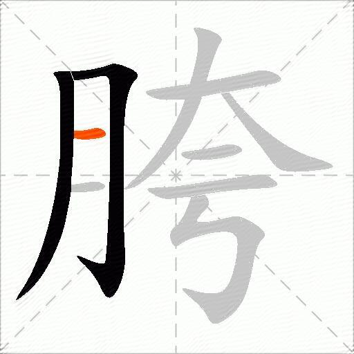 胯