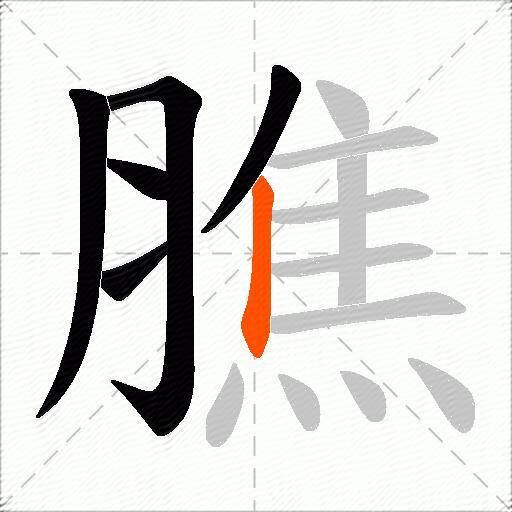 膲