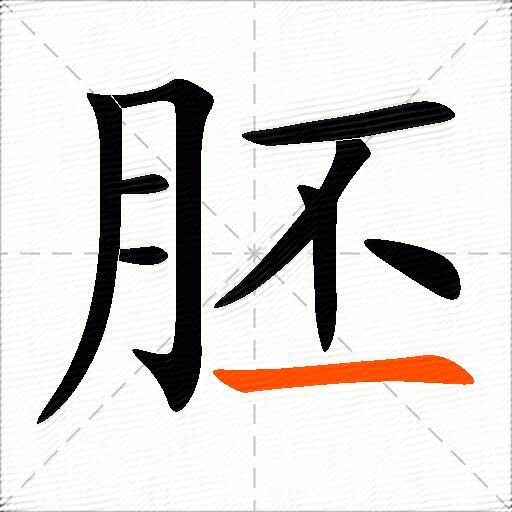 胚