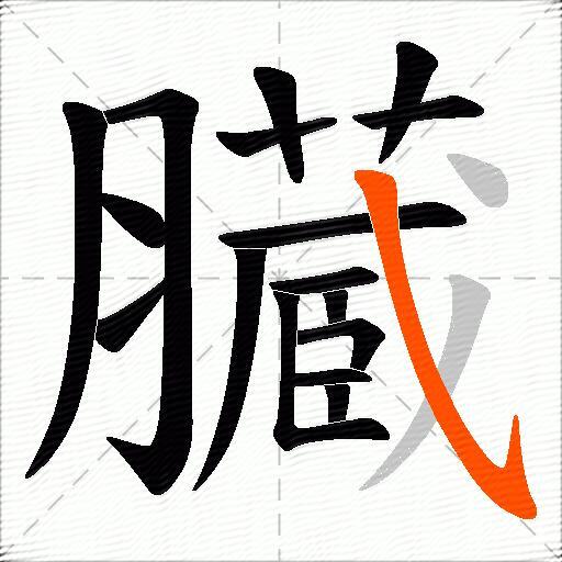 臓