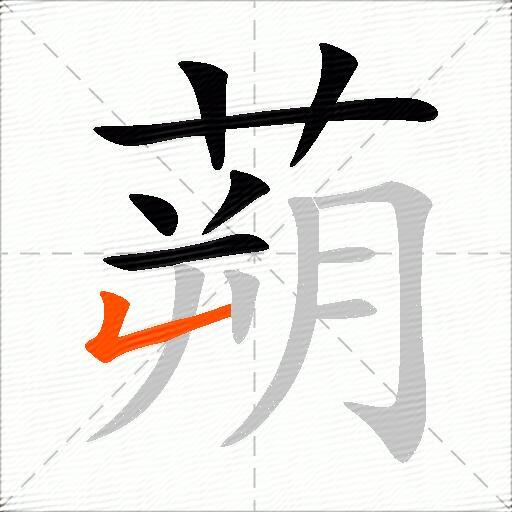 蒴