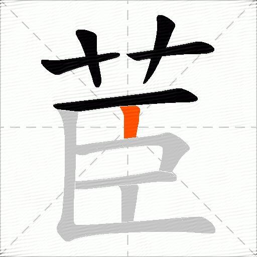 茞