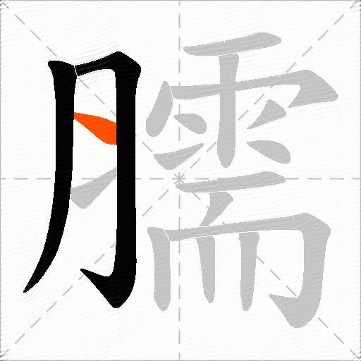 臑
