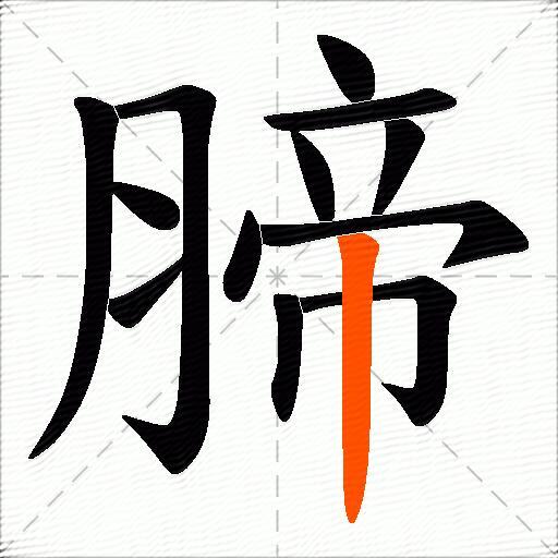 腣