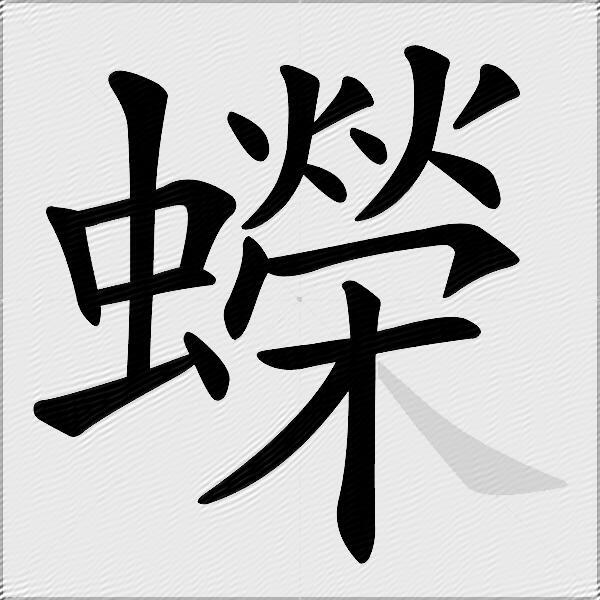 蠑