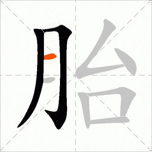 胎