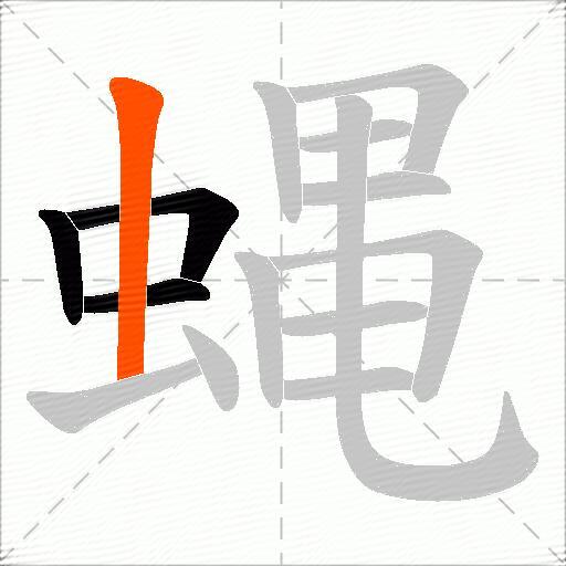 蝿