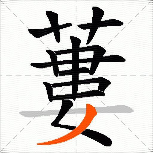 蔞