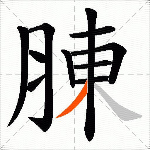 腖