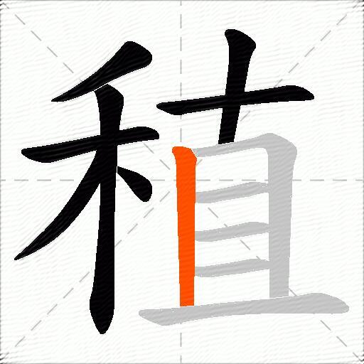 稙