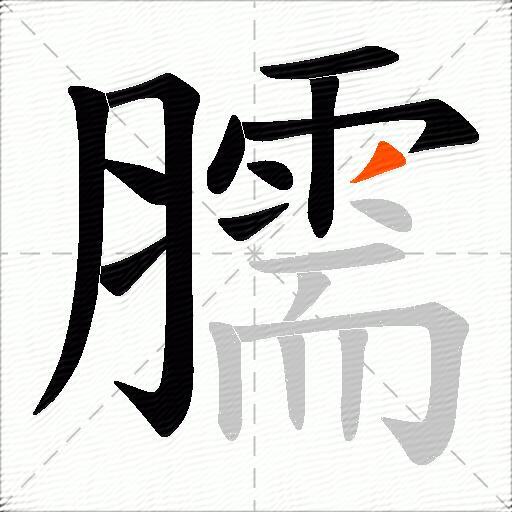 臑