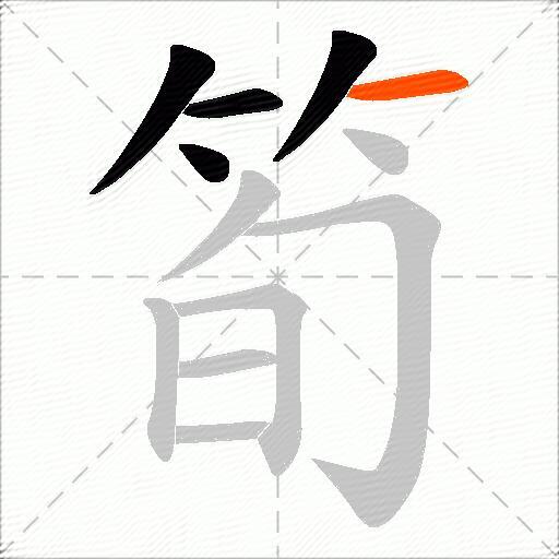 筍