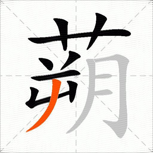蒴