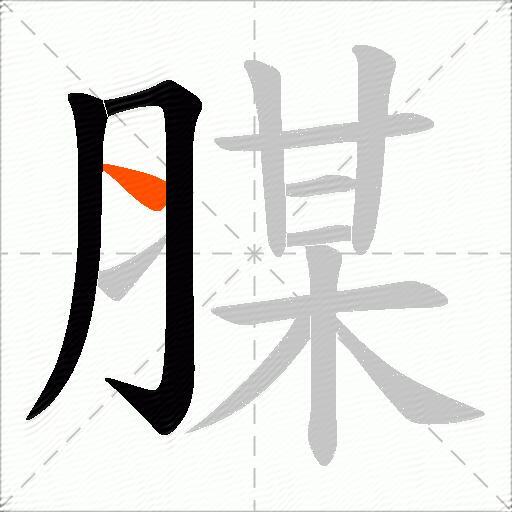 腜