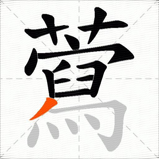 藛