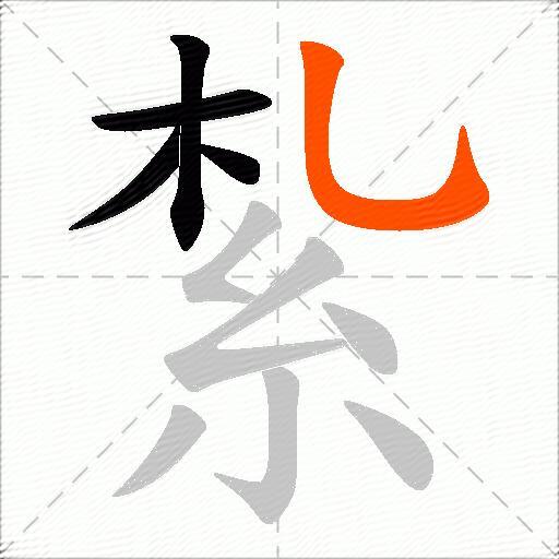 紮